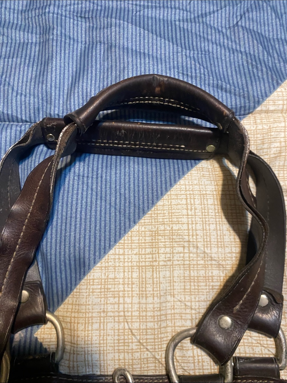 Coach Hamptons Signature Pattern Tote Bag with Snake-Print Accent - Picture 4 of 5